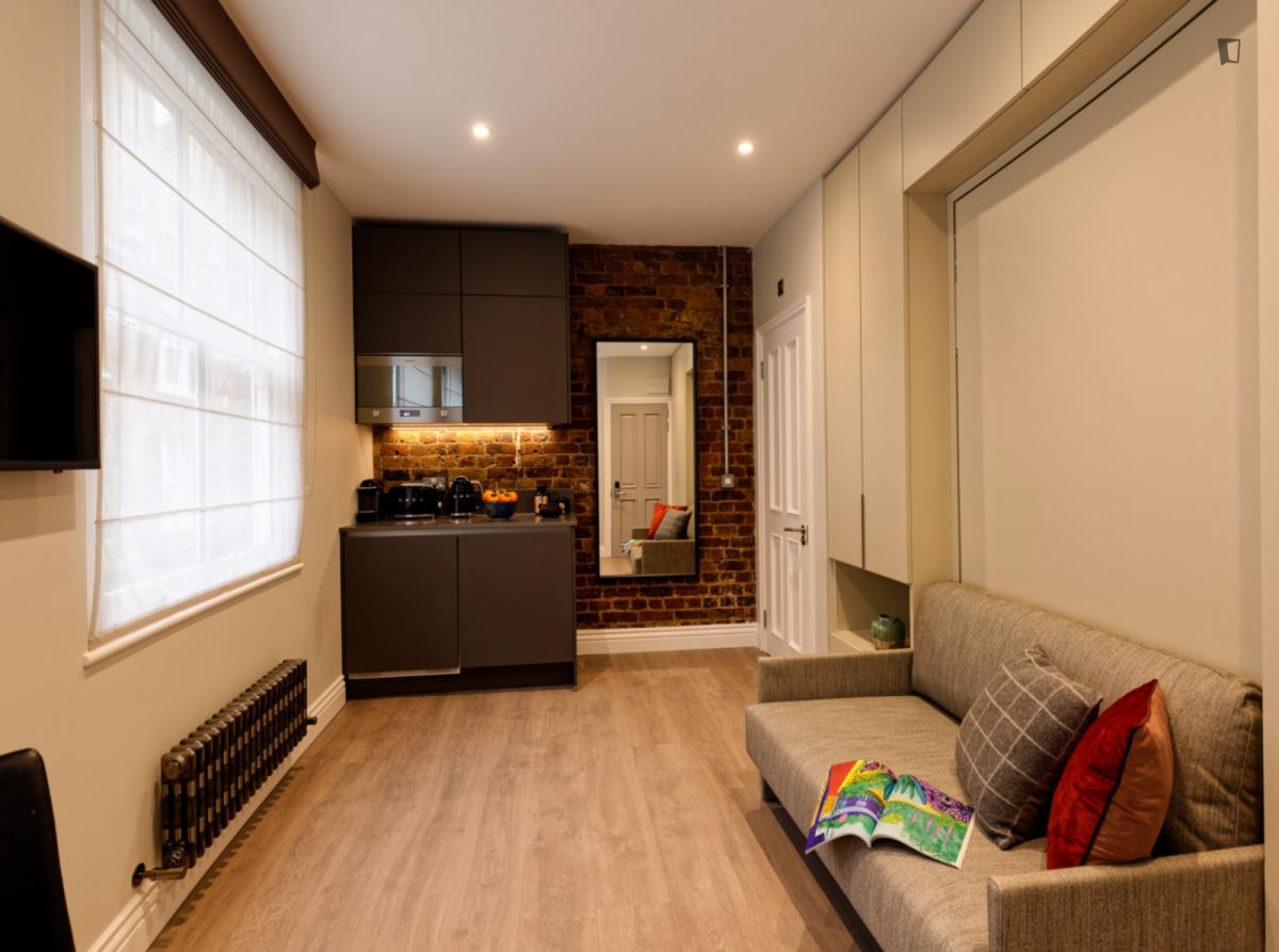 Appealing studio near the University of Westminster Marylebone Hall