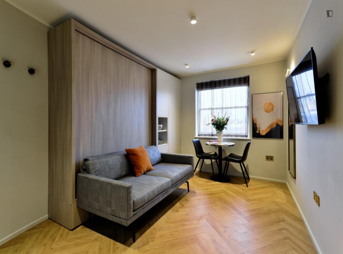 Attractive studio not far from Victoria and Albert Museum