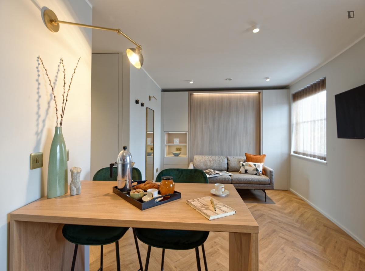 Bright and elegant studio apartment in South Kensington