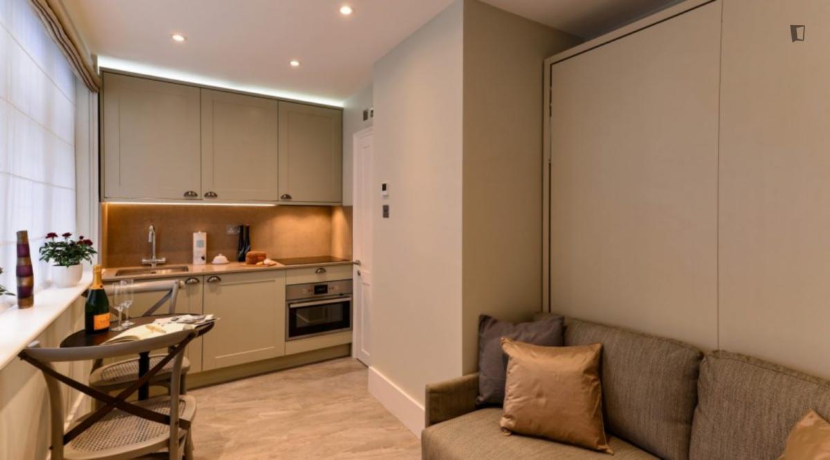 Cozy studio in Marylebone