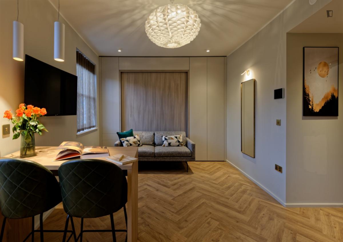 Lovely studio near the South Kensington tube