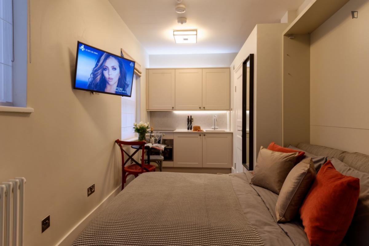 Tasteful studio in well-linked Marylebone