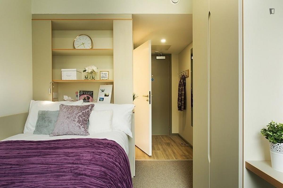 Bronze Semester Ensuite image