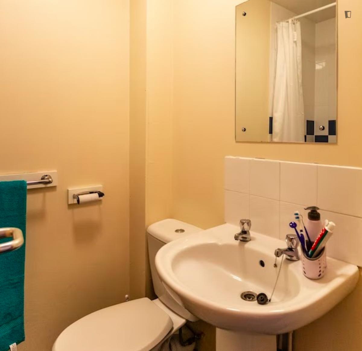 Ensuite Bronze image