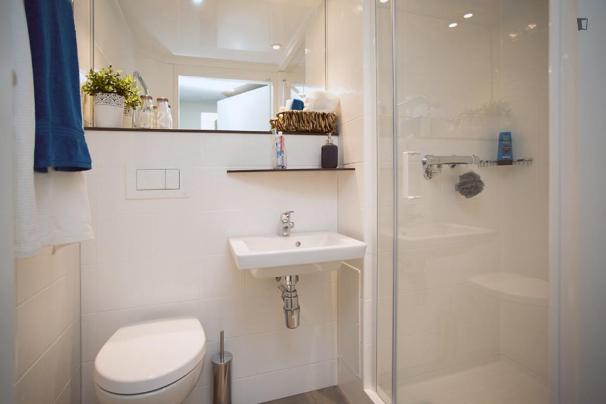 Silver Plus En-suite image